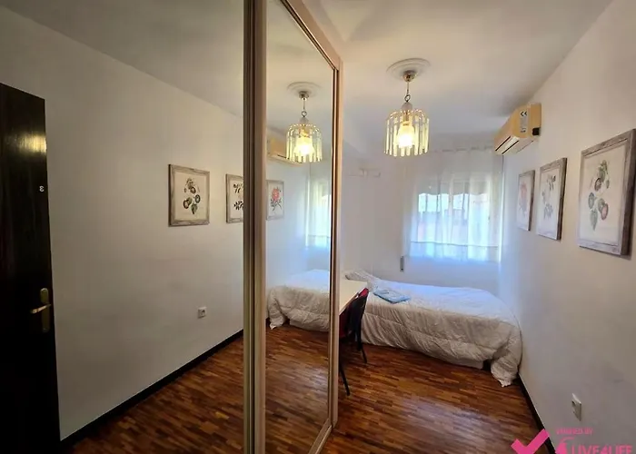 Cozy Mm Sea View * Năvodari